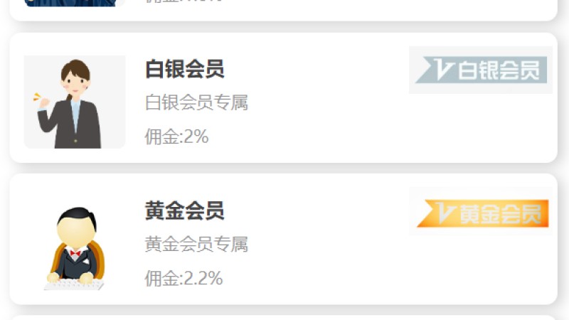 UI二开版抢单刷单系统 | 订单自动匹配+连单功能