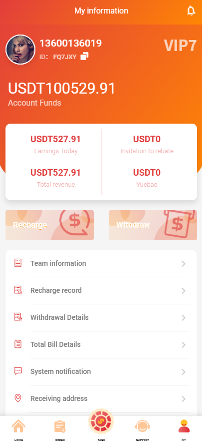 亲测精品/海外抢单源码新UI商城任务源码