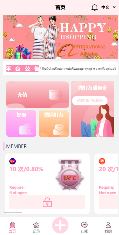 亲测精品/A404九套UI可切换海外抢单刷单系统 – 订单自动匹配+分组管理+杀连单控功能一体化刷单平台