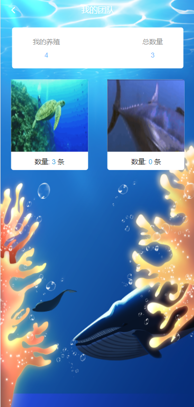 亲测精品/A163USDT理财系统源码 | 虚拟币静态收益平台开发 | 区块链投资源码出售