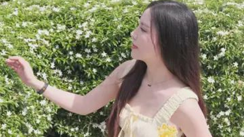 视频素材图片