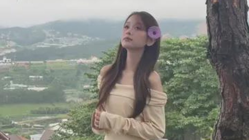 视频素材图片