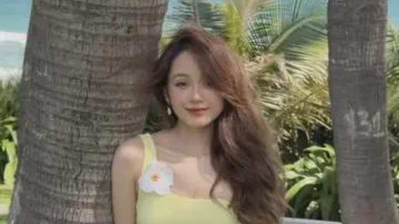 视频素材图片