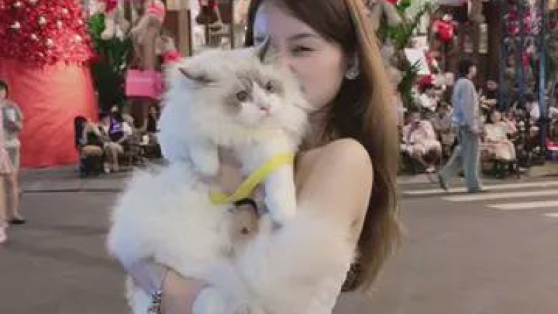 005越南美女性感有气质生活视频素材无水印132视频132照片