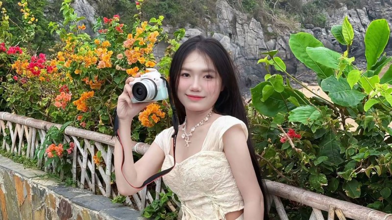 视频素材图片