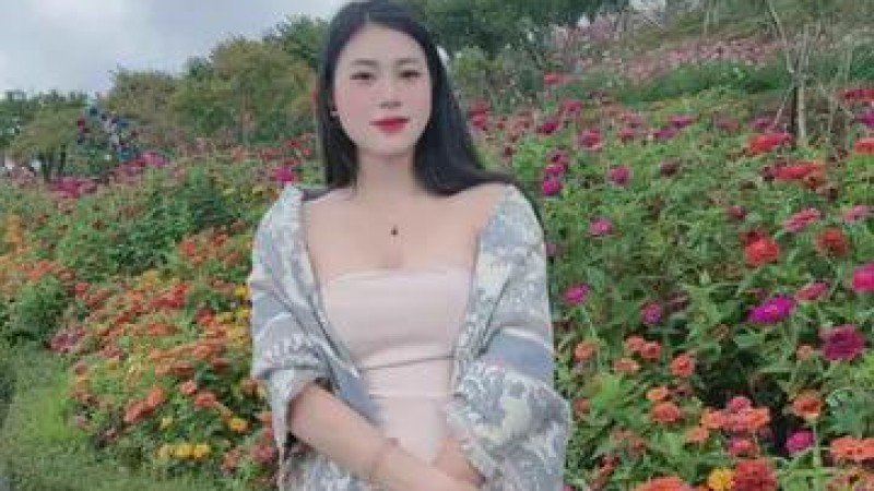 视频素材图片