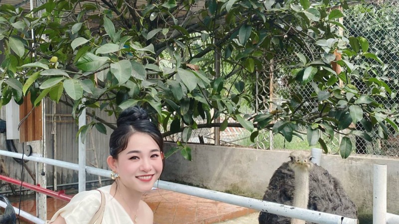 视频素材图片