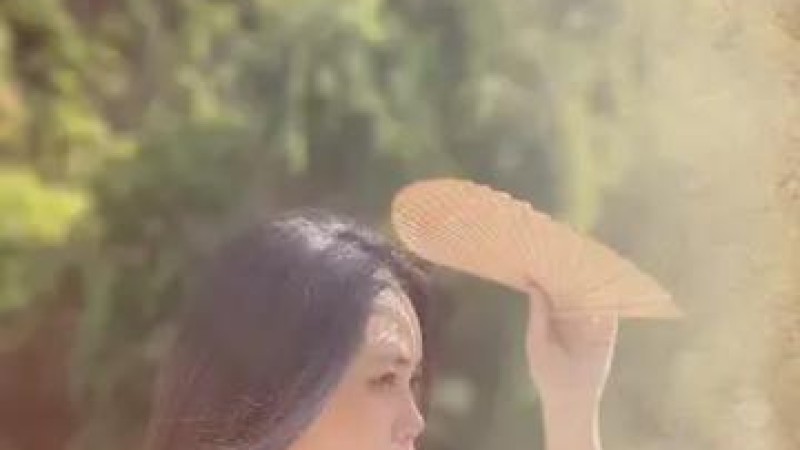 视频素材图片
